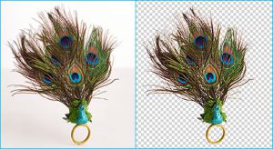 Clipping Path Product Background removal before-after example for peacock-feather makes background transparent.